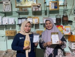 Kopi Kuda Cahaya Usung Cita Rasa Khas Lampung, Produksi Capai 1,5 Ton per Bulan