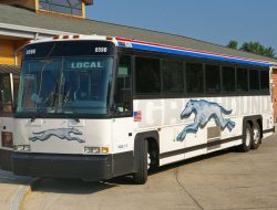 “If You Come to San Francisco”