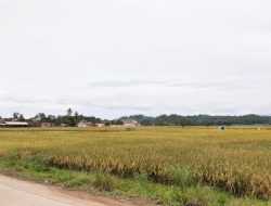 BMKG Ingatkan Potensi Hujan Lebat di Lampung Hari Ini, Waspada Petir dan Angin Kencang