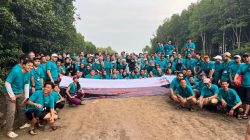 Ratusan Karyawan Siemens Healthineers Rela Berkubang Lumpur Tanam Mangrove di Cuku Nyinyi