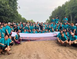 Ratusan Karyawan Siemens Healthineers Rela Berkubang Lumpur Tanam Mangrove di Cuku Nyinyi