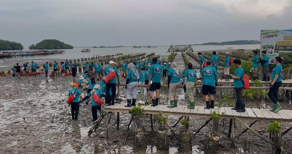 Ratusan karyawan Siemens Healthineers rela berkubang lumpur saat mengikuti aksi penanaman mangrove di kawasan Cuku Nyinyi, Pesawaran.