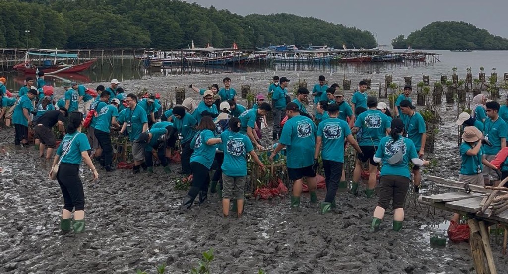 Mangrove Cuku Nyinyi di Pesawaran kembali menjadi pusat konservasi setelah Siemens Healthineers Indonesia menggelar aksi lingkungan bersama warga.