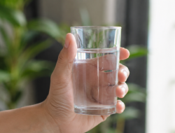 Jangan Remehkan Air Putih, Tubuh Bisa Kena Dampaknya