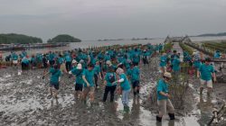 President Director Siemens Healthineers Indonesia Terkesan Pesona Mangrove Cuku Nyinyi