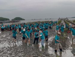 President Director Siemens Healthineers Indonesia Terkesan Pesona Mangrove Cuku Nyinyi