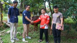 Iduladha 1447 H, Pelindo Regional 2 Panjang Perkuat Kepedulian Sosial Lewat Penyaluran Hewan Kurban
