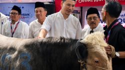 XLSMART Salurkan Qurban ke Puluhan Daerah, Libatkan Karyawan dan Teknologi Digital