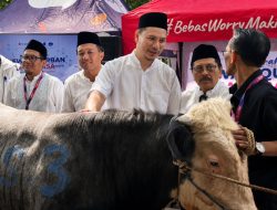 XLSMART Salurkan Qurban ke Puluhan Daerah, Libatkan Karyawan dan Teknologi Digital