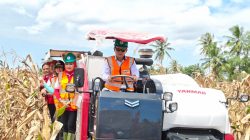 Panen Raya Jagung GNTI di Pesawaran, Rokhmin Dahuri Kemudikan Combine Harvester di Tengah Hamparan Ladang