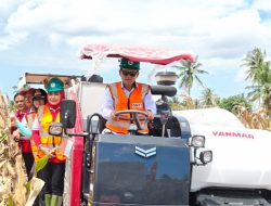 Panen Raya Jagung GNTI di Pesawaran, Rokhmin Dahuri Kemudikan Combine Harvester di Tengah Hamparan Ladang