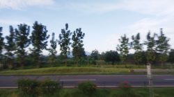 Cuaca Lampung Hari Ini: Siang hingga Dini Hari Berpotensi Hujan Lebat
