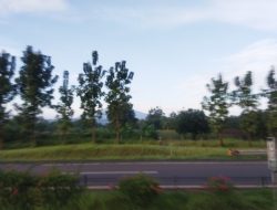 Cuaca Lampung Hari Ini: Siang hingga Dini Hari Berpotensi Hujan Lebat