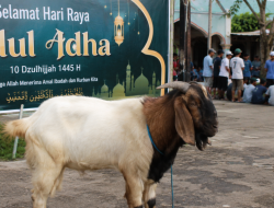 Sunnah Rasulullah Saat Iduladha yang Sering Dilupakan Umat Muslim