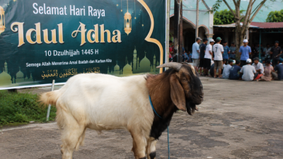 Rasulullah SAW mengajarkan banyak sunnah saat Iduladha yang masih relevan diamalkan hingga sekarang. Sunnah tersebut memperkuat ibadah dan kepedulian sosial umat Muslim.