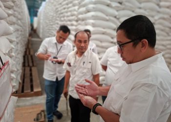 BULOG Lampung Perkuat Stok, Siapkan Penyaluran Bantuan Pangan Tambahan
