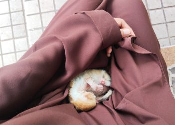 Suara Kecil Itu Mengubah Hariku