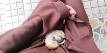 Suara Kecil Itu Mengubah Hariku