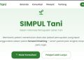 Mahasiswa KKN Unila Kenalkan SIMPUL TANI, Bantu Petani Tentukan Pemupukan Lebih Tepat