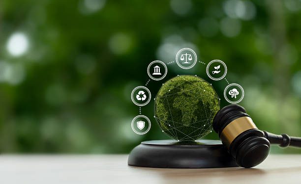 Asosiasi Penyelenggara Jasa Internet Indonesia (APJII) melaporkan bahwa penetrasi internet Indonesia mencapai 79,5 persen pada 2024, dengan estimasi sekitar 221,56 juta pengguna.